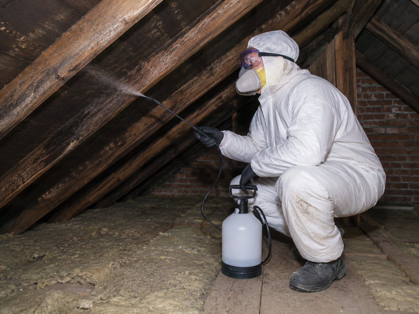 Mould Treatment work in Cambridge