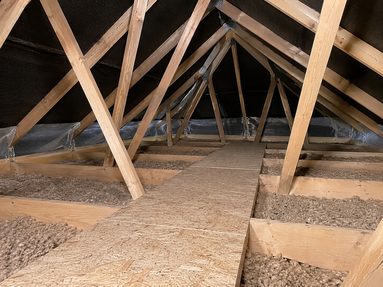 Rodent Proofing in Cambridge